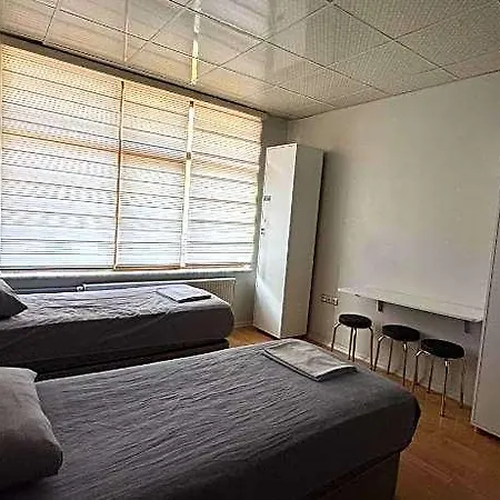 Hostelida