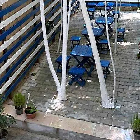 Hostelida